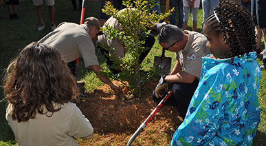 Limestone donating and planting a tree